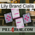 Lily Brand Cialis 33